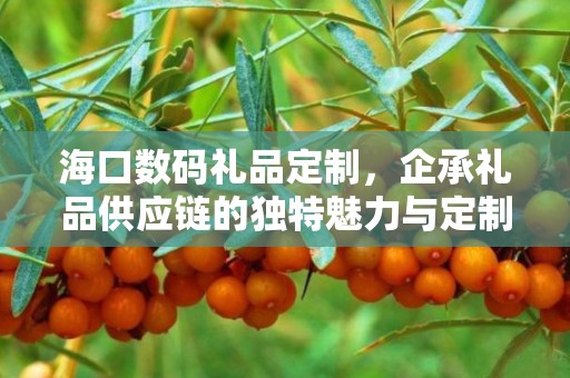 海口数码礼品定制，企承礼品供应链的独特魅力与定制之旅